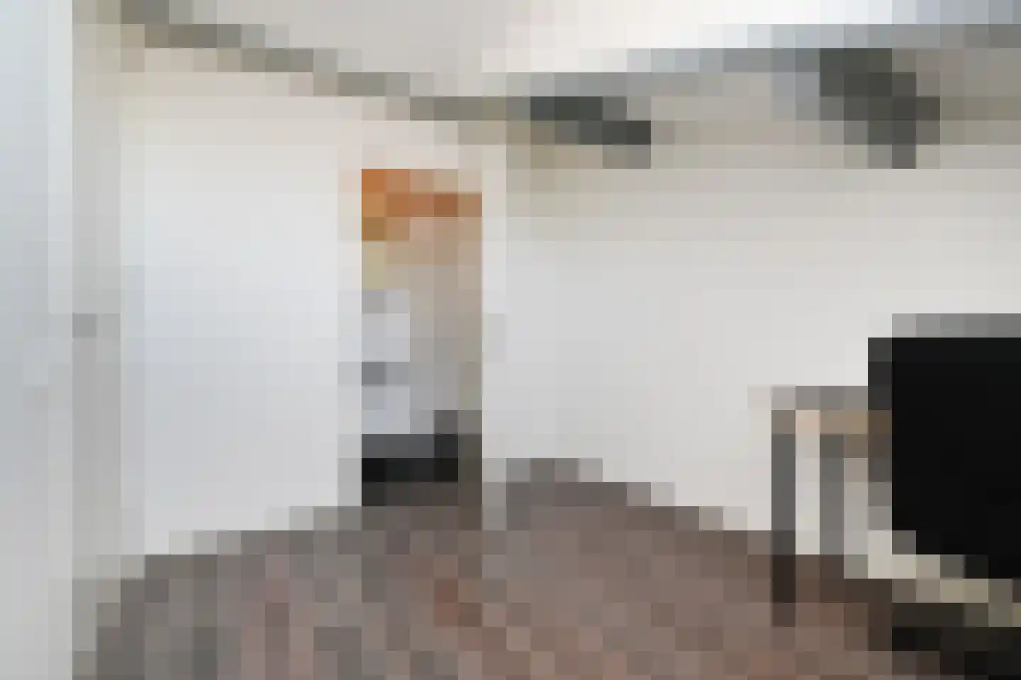 Nieuwe Langendijk 61 D Delft thumbnail 7