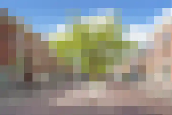 Nieuwe Langendijk 61 G Delft thumbnail 14