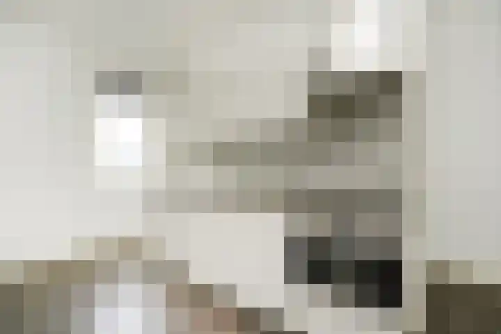Nieuwe Langendijk 61 G Delft thumbnail 6