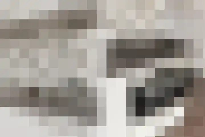 Nieuwe Langendijk 61 G Delft thumbnail 8