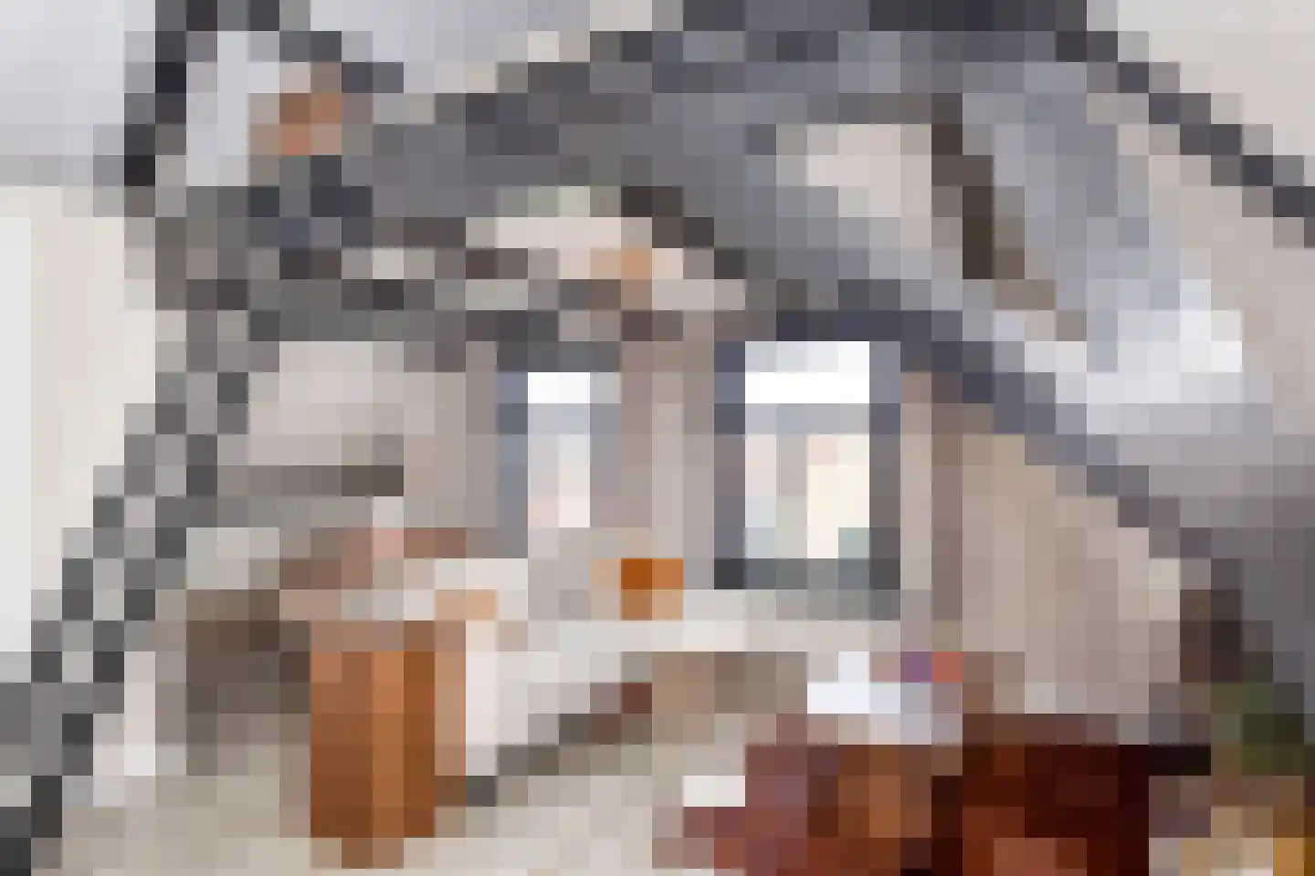 Nieuwe Langendijk 80 A Delft thumbnail 6
