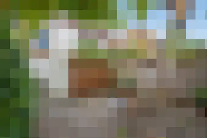 Nieuwe Langendijk 88 Delft thumbnail 10