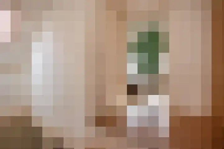 Nieuwe Langendijk 88 Delft thumbnail 18