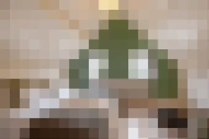 Nieuwe Langendijk 88 Delft thumbnail 19