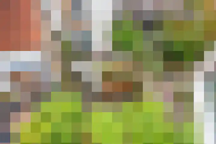Nieuwe Langendijk 88 Delft thumbnail 21