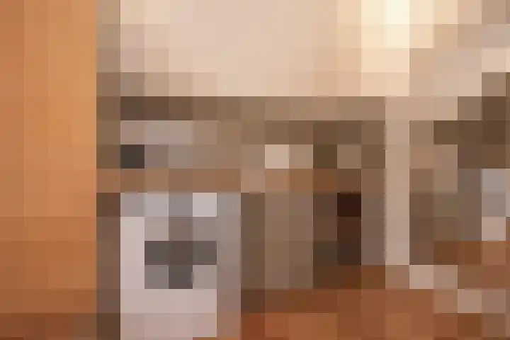 Nieuwe Langendijk 88 Delft thumbnail 26