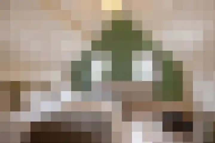 Nieuwe Langendijk 88 Delft thumbnail 4