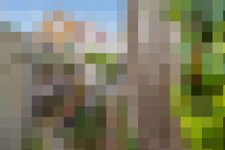 Nieuwe Langendijk 88 Delft thumbnail 7
