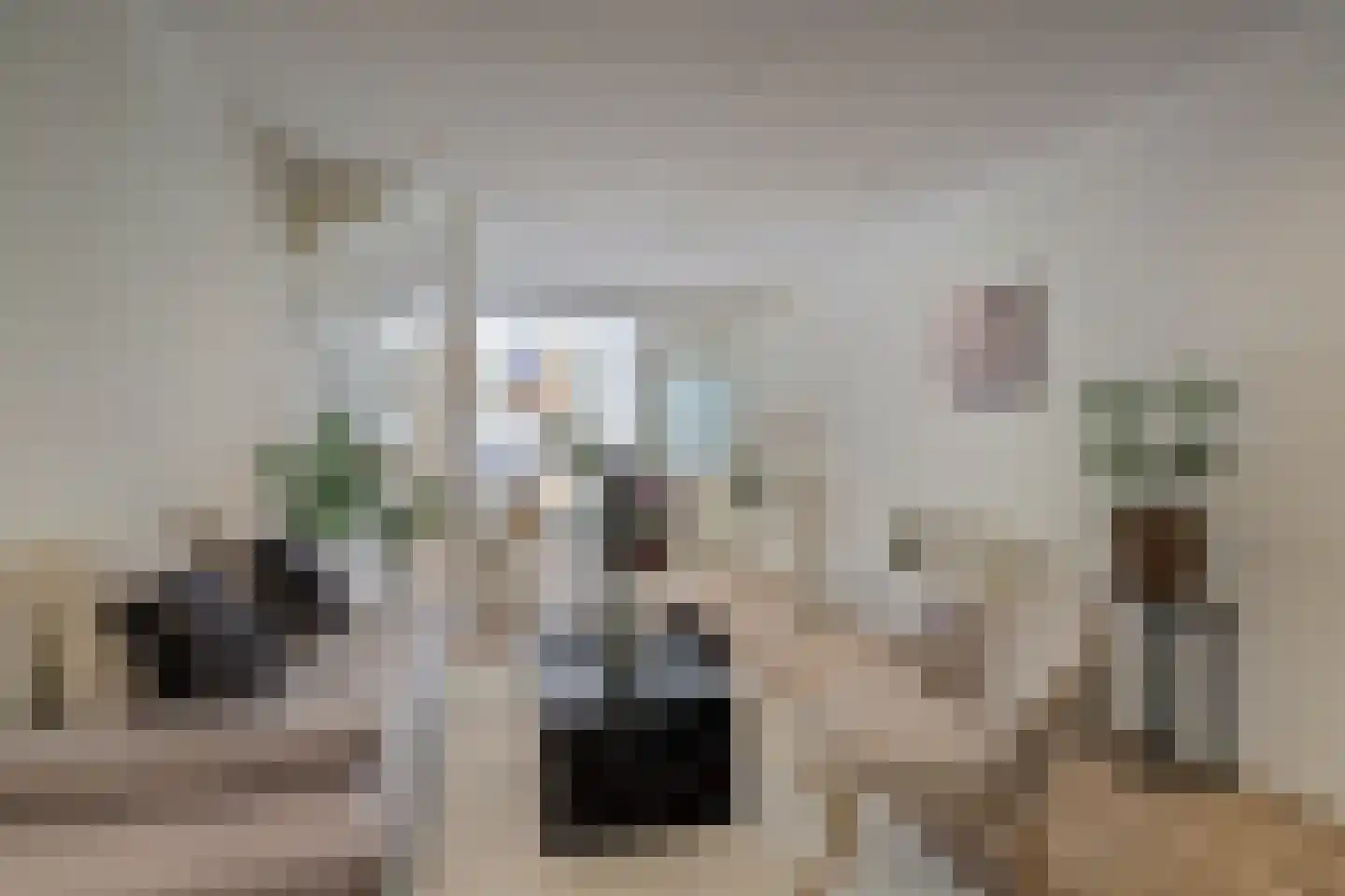 Nieuwe Langendijk 98 Delft thumbnail 17