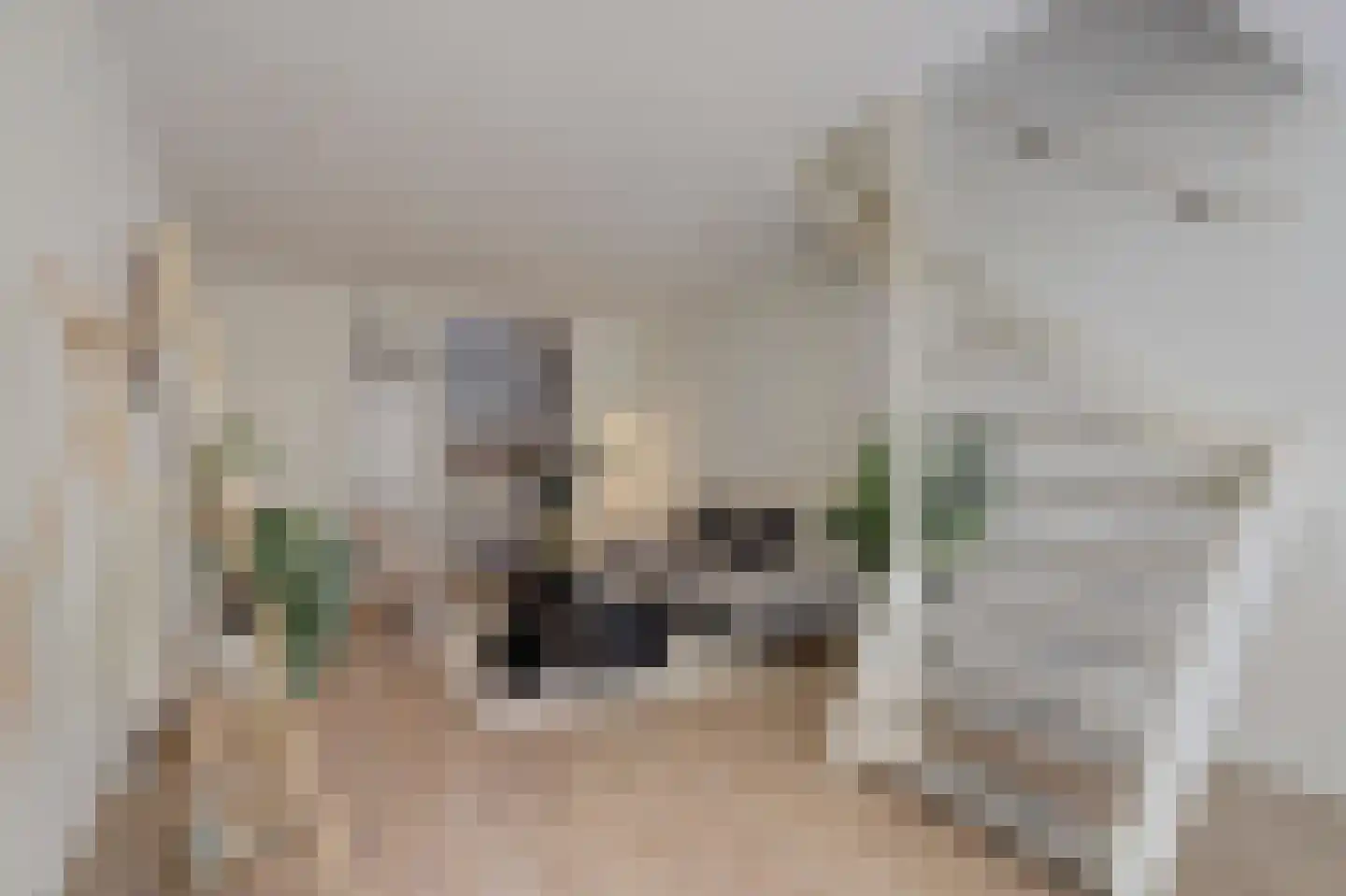 Nieuwe Langendijk 98 Delft thumbnail 20
