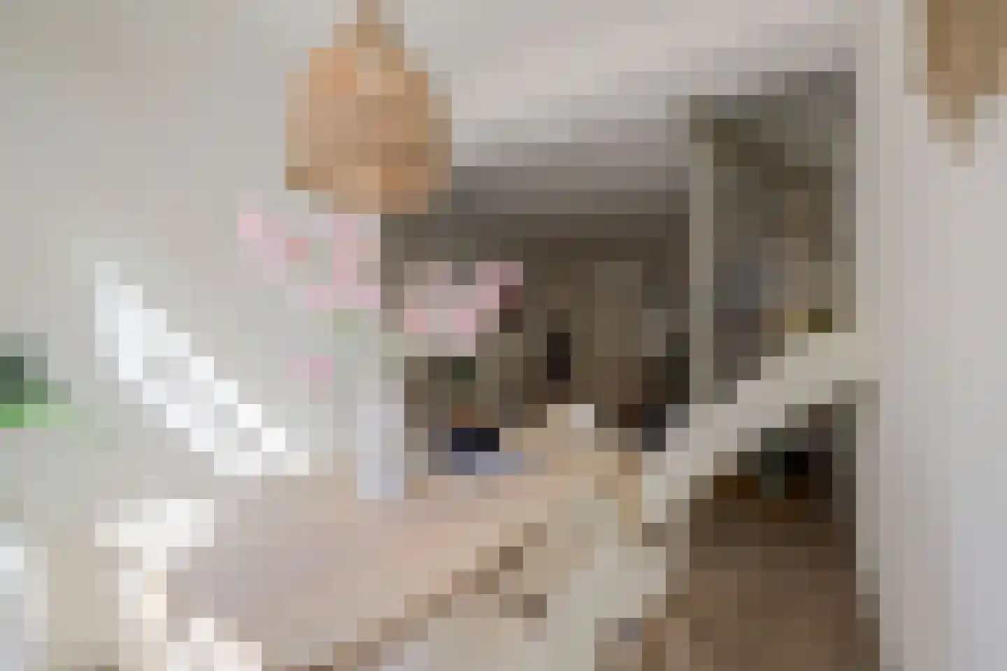 Nieuwe Langendijk 98 Delft thumbnail 21