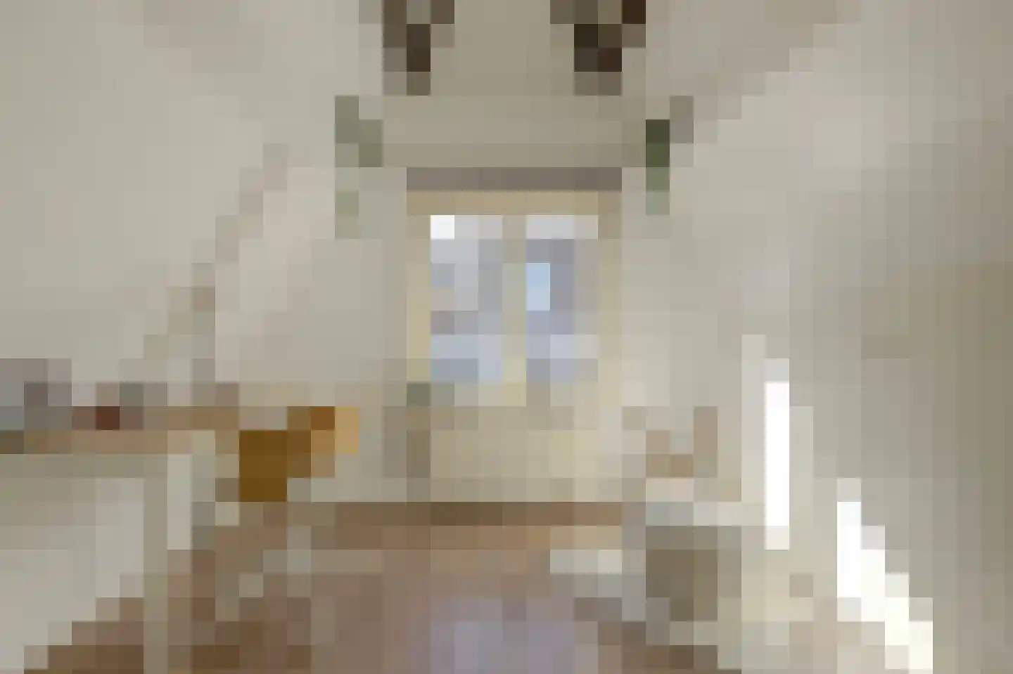 Nieuwe Langendijk 98 Delft thumbnail 33
