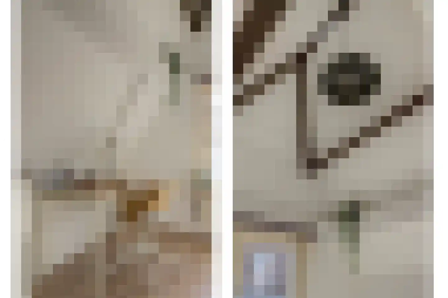 Nieuwe Langendijk 98 Delft thumbnail 36