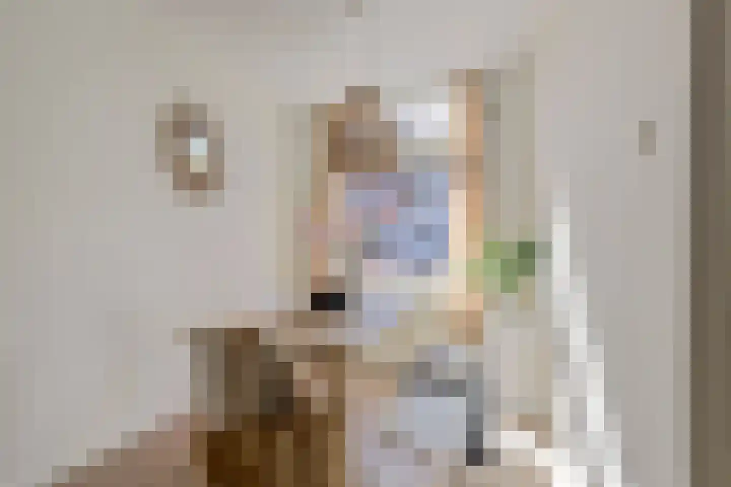 Nieuwe Langendijk 98 Delft thumbnail 5