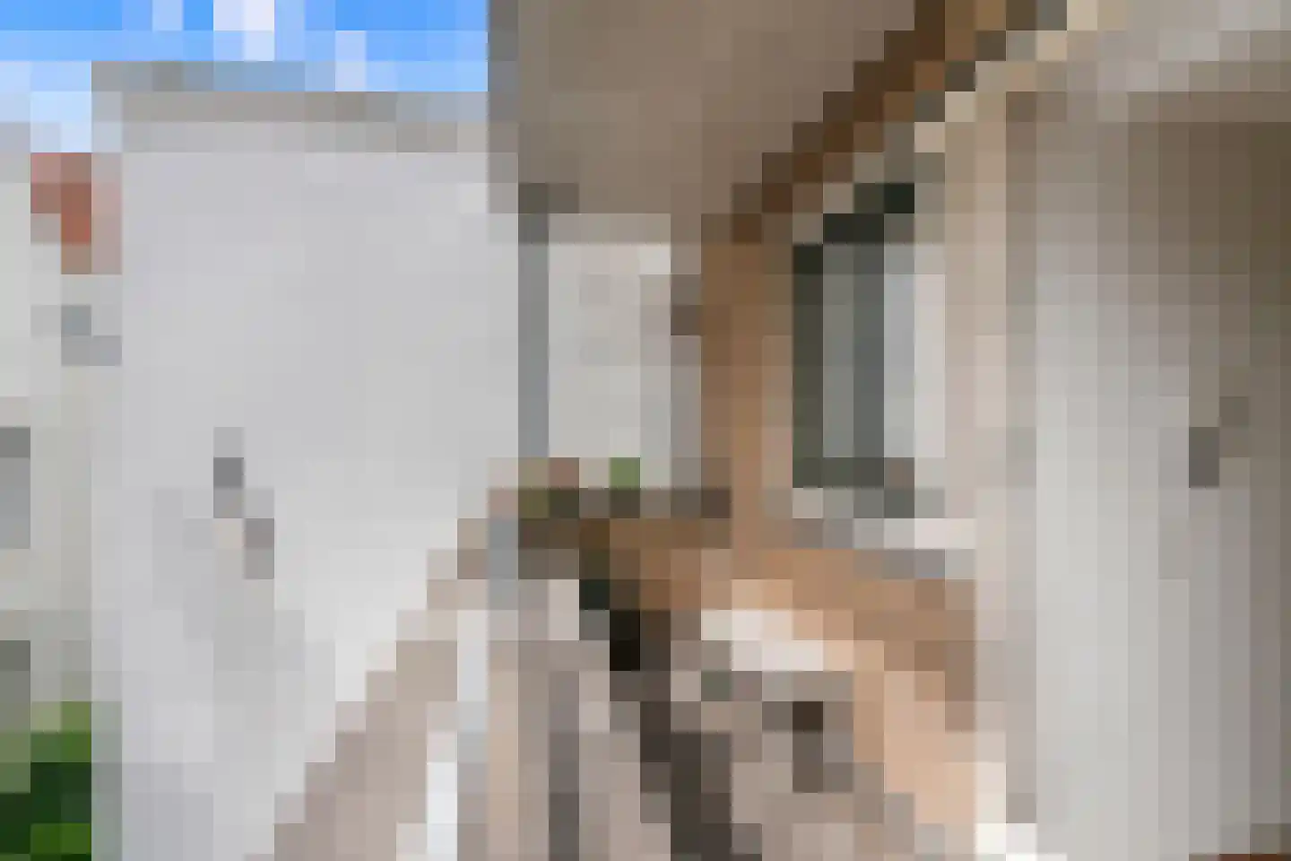 Nieuwe Leliestraat 107 C Amsterdam thumbnail 20