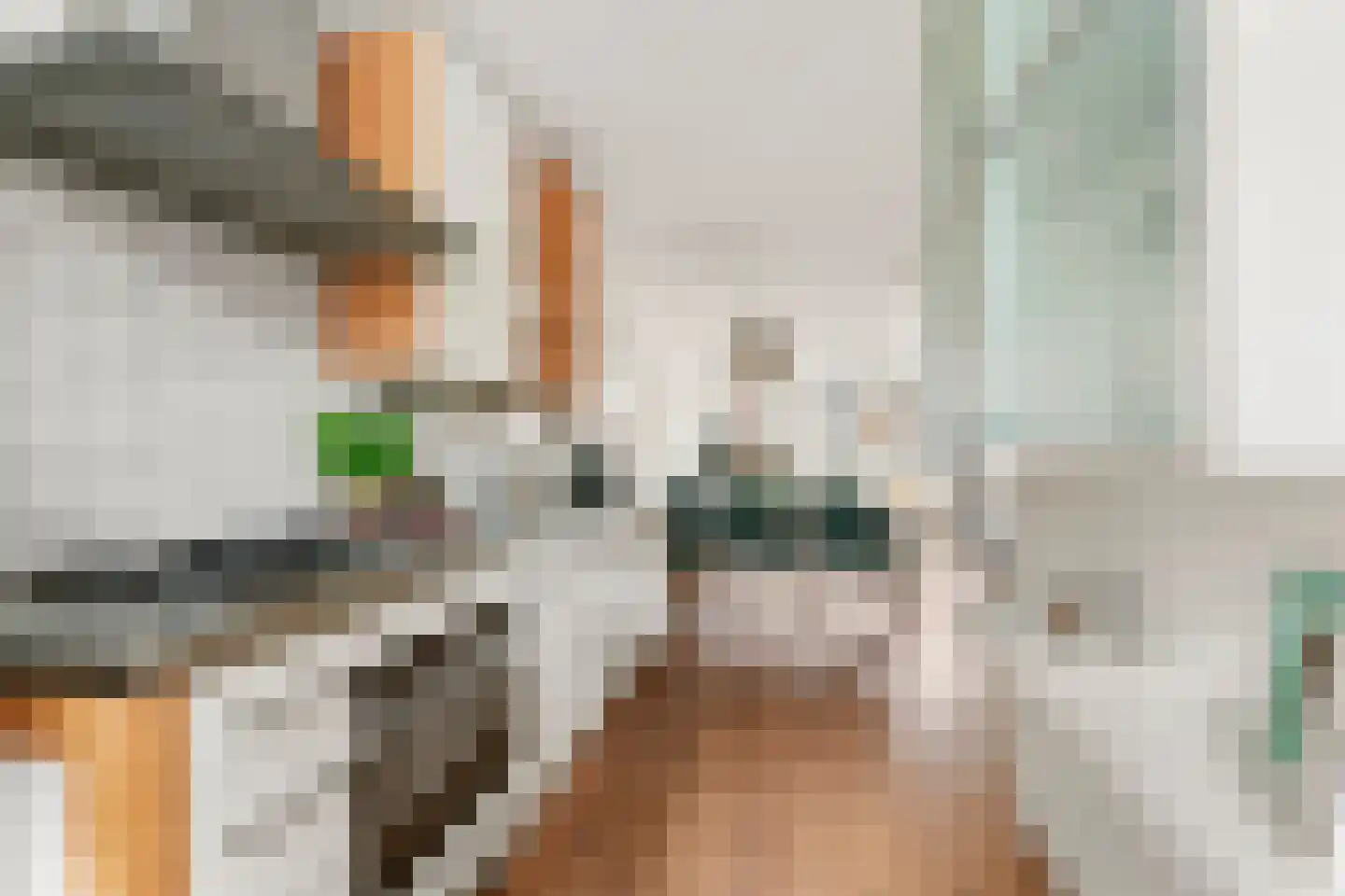 Nieuwe Leliestraat 107 C Amsterdam thumbnail 7