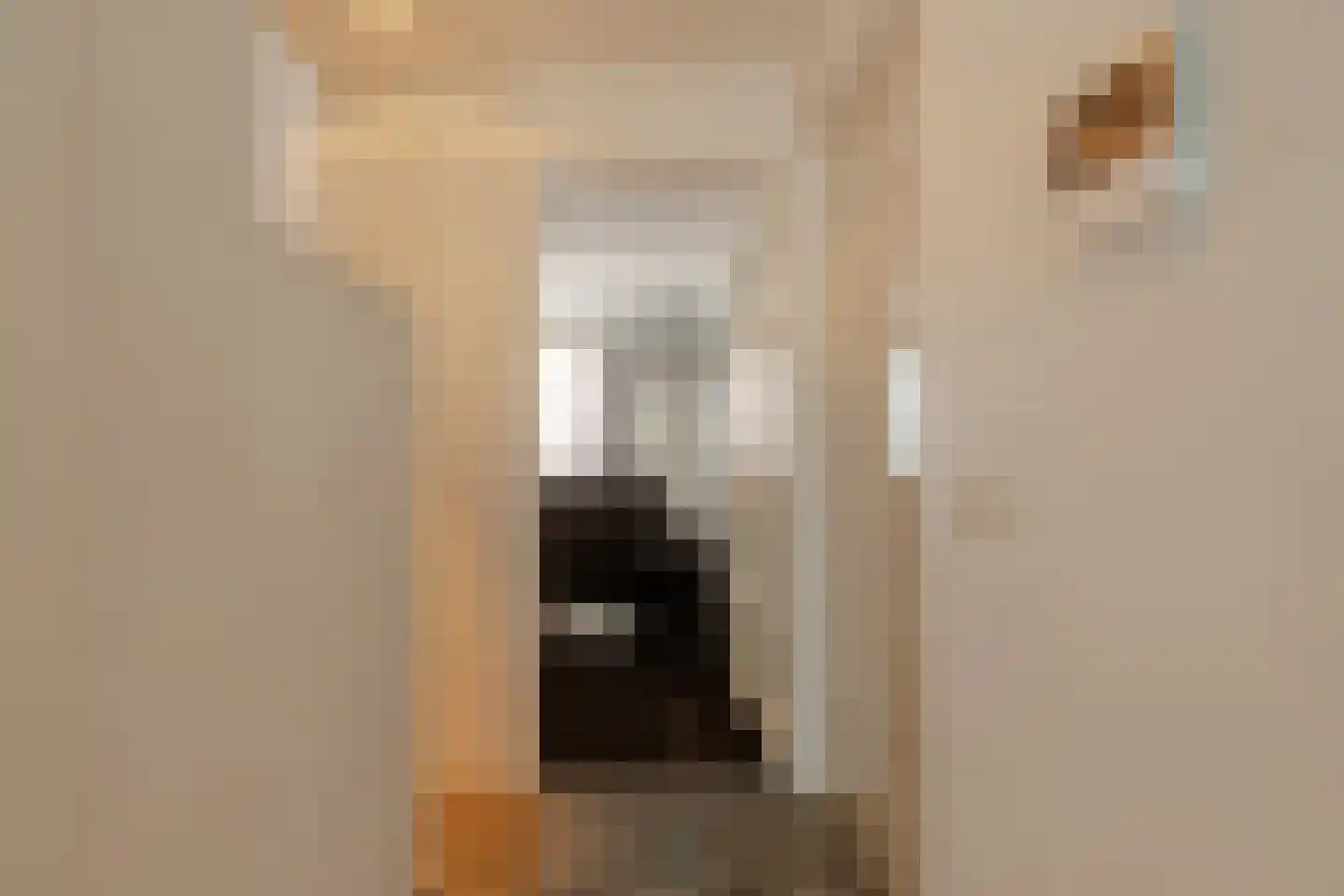 Nieuwe Leliestraat 126 B Amsterdam thumbnail 18
