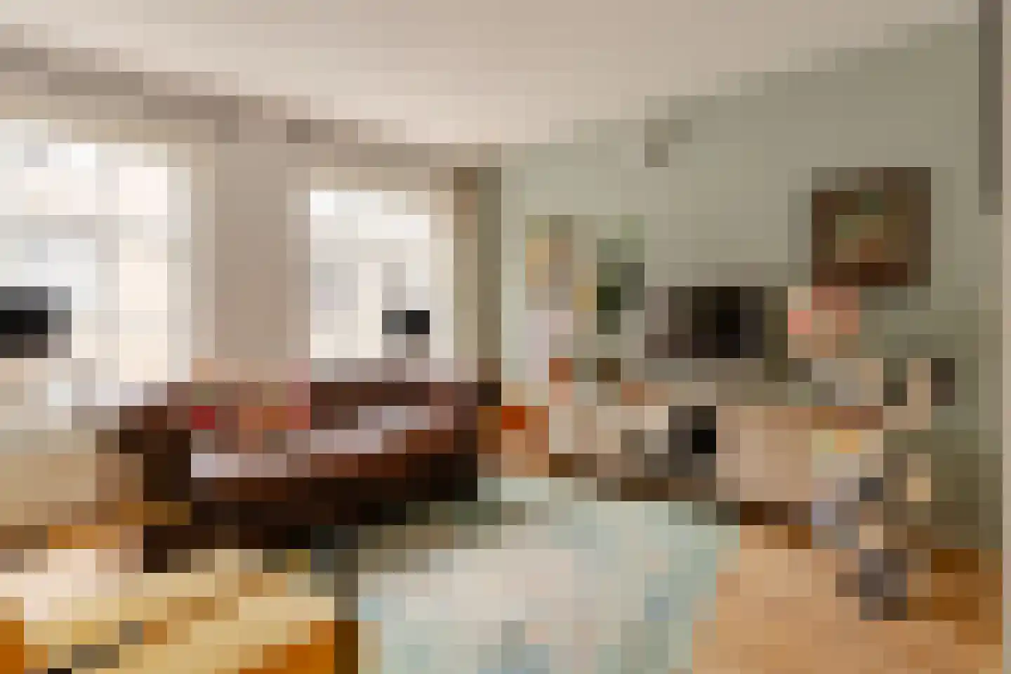 Nieuwe Leliestraat 126 B Amsterdam thumbnail 26