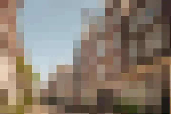 Nieuwe Leliestraat 131 3 Amsterdam thumbnail 10