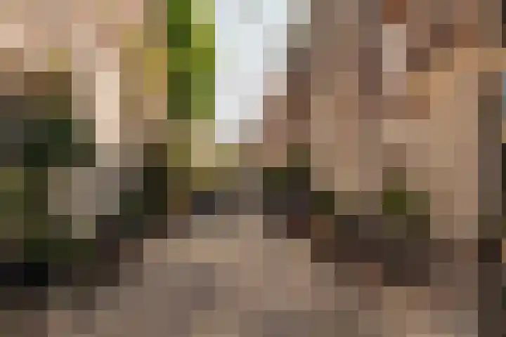 Nieuwe Leliestraat 131 3 Amsterdam thumbnail 12