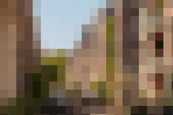 Nieuwe Leliestraat 131 3 Amsterdam thumbnail 13