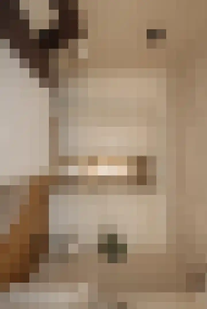 Nieuwe Leliestraat 131 3 Amsterdam thumbnail 6