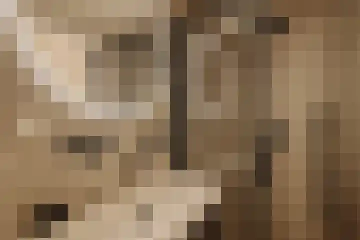Nieuwe Leliestraat 131 3 Amsterdam thumbnail 9