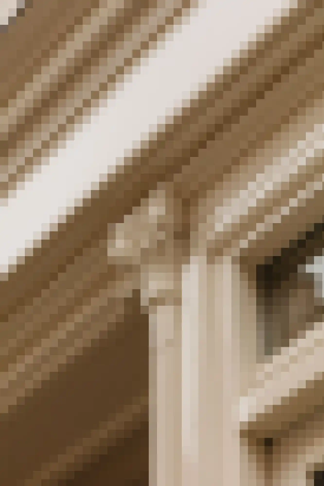 Nieuwe Leliestraat 131 4 Amsterdam thumbnail 7
