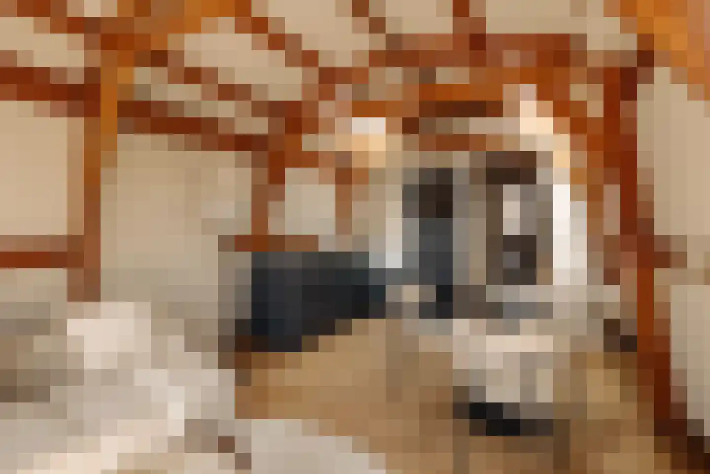 Nieuwe Leliestraat 131 4 Amsterdam thumbnail 8