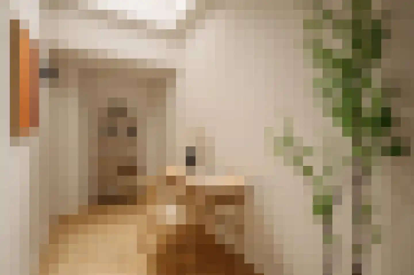 Nieuwe Leliestraat 131 H Amsterdam thumbnail 11