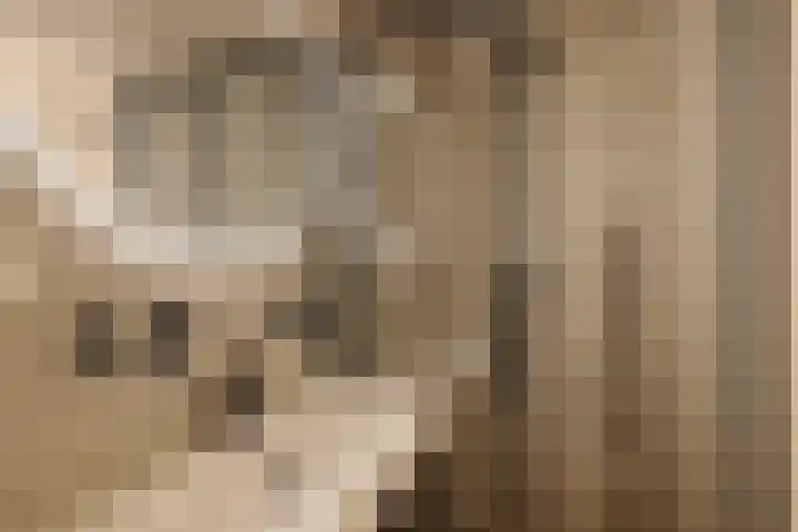 Nieuwe Leliestraat 131 H Amsterdam thumbnail 13