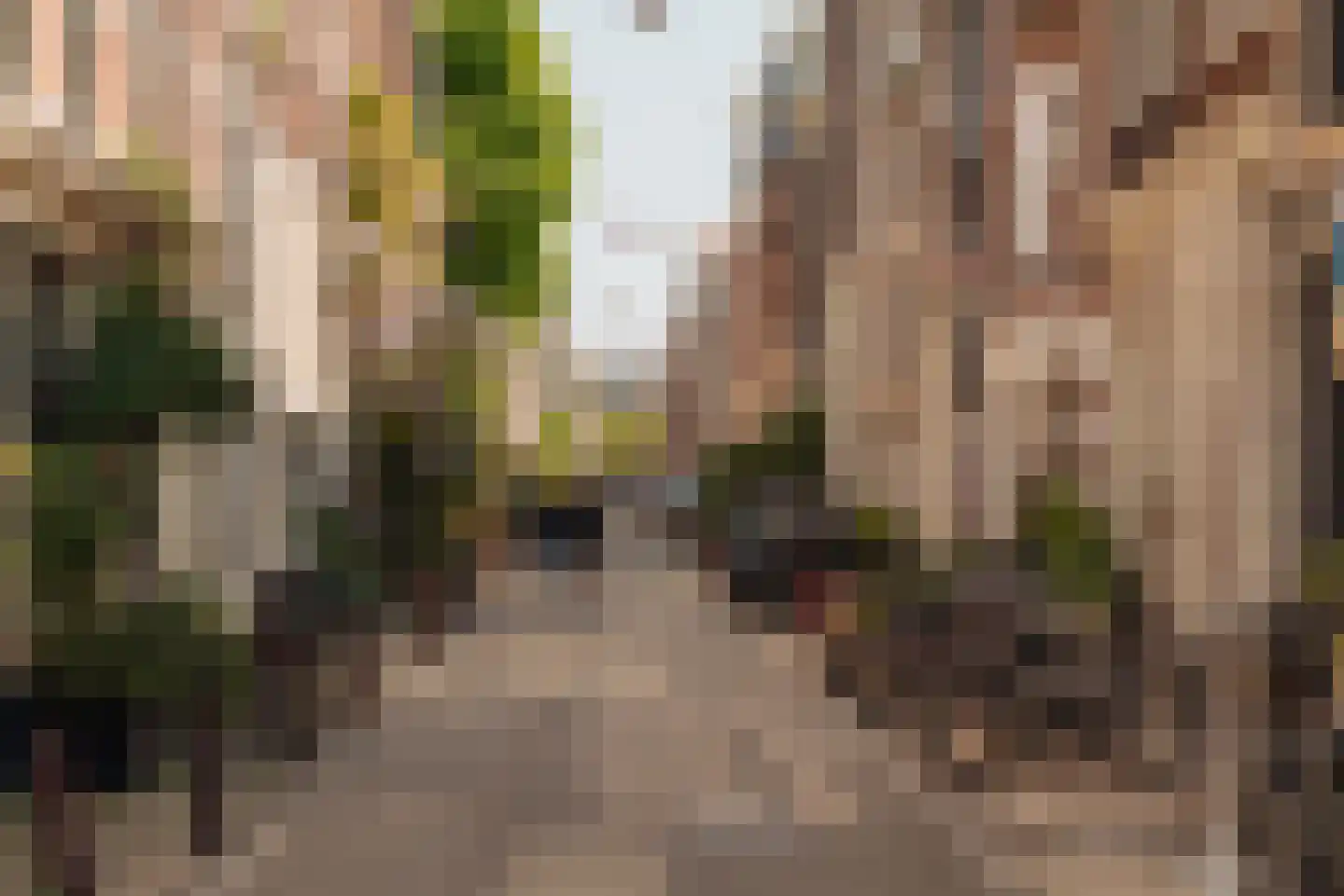 Nieuwe Leliestraat 131 H Amsterdam thumbnail 14