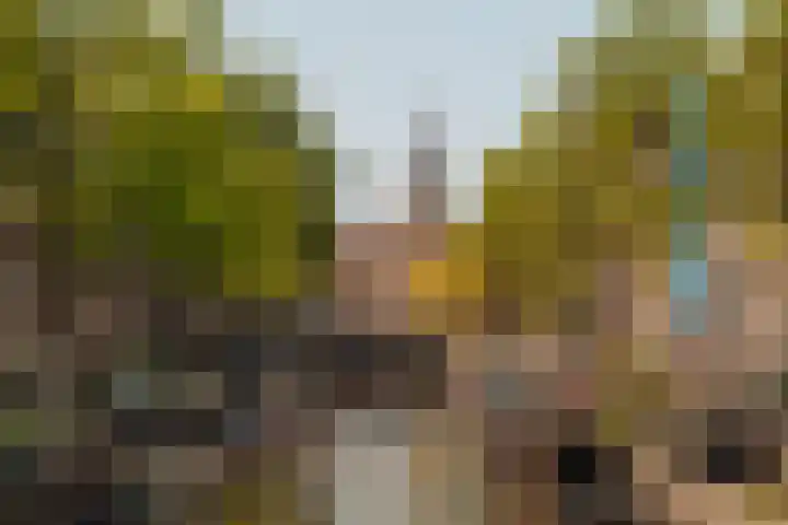 Nieuwe Leliestraat 131 H Amsterdam thumbnail 14