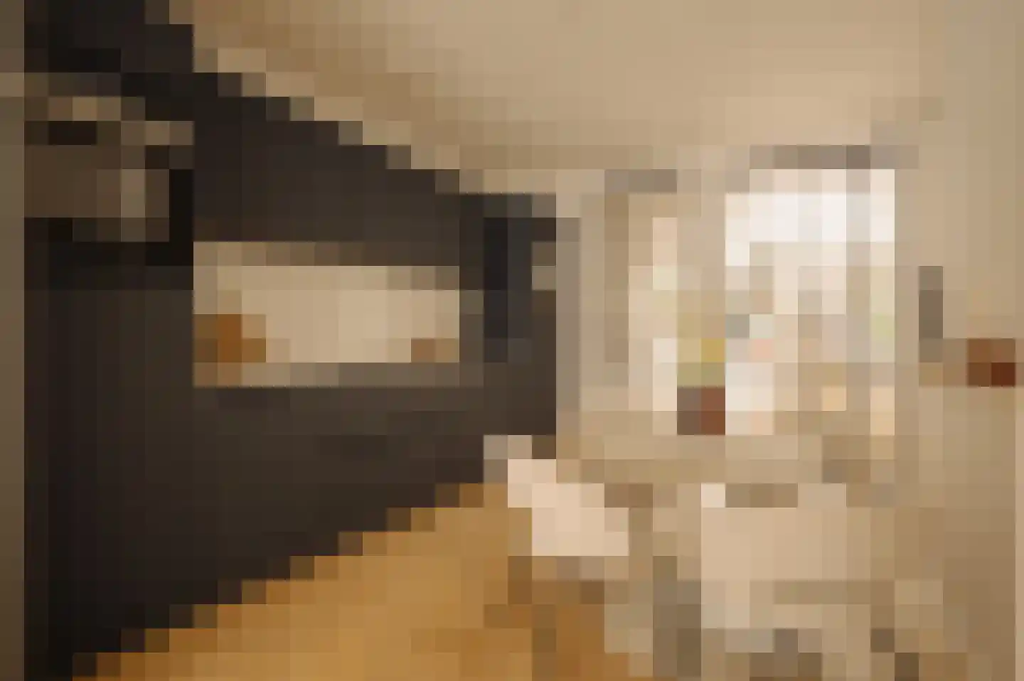Nieuwe Leliestraat 131 H Amsterdam thumbnail 7