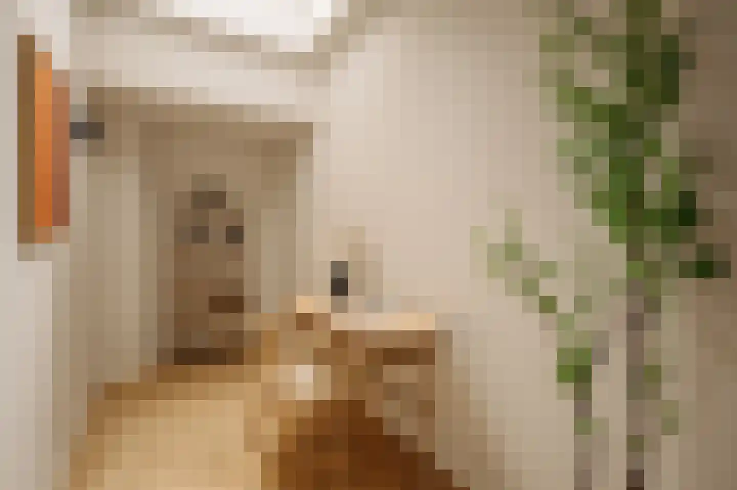 Nieuwe Leliestraat 131 H Amsterdam thumbnail 8