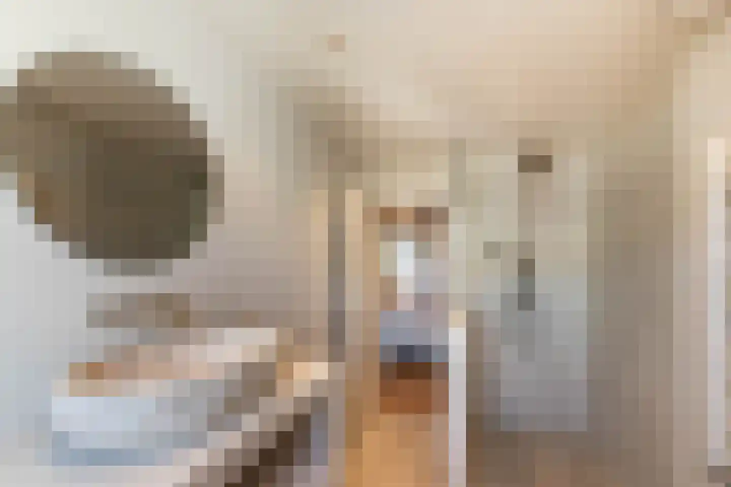 Nieuwe Leliestraat 134 3 Amsterdam thumbnail 26