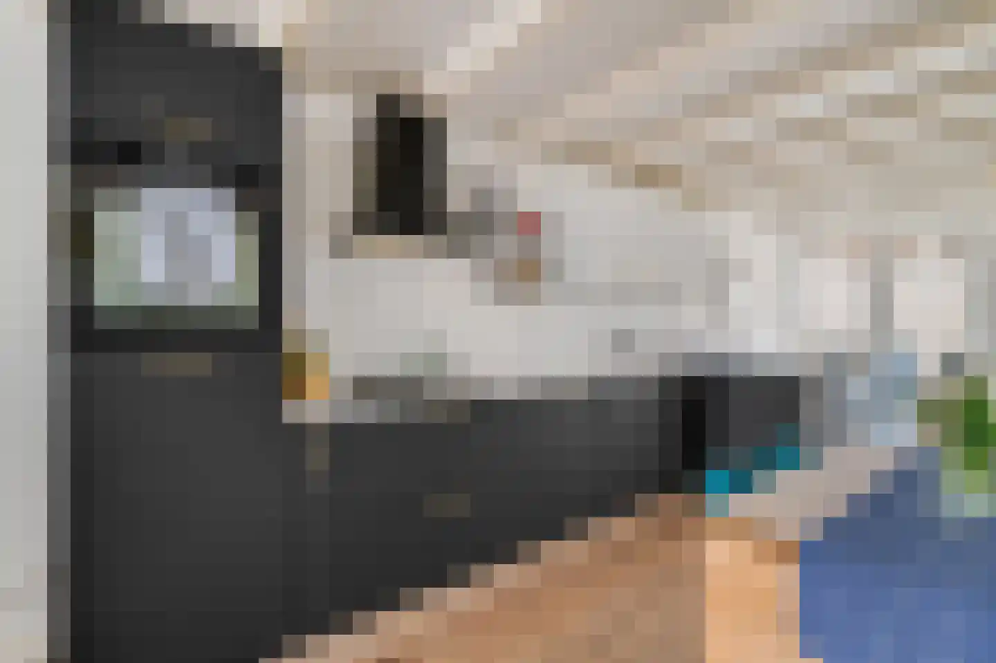 Nieuwe Leliestraat 138 B Amsterdam thumbnail 6