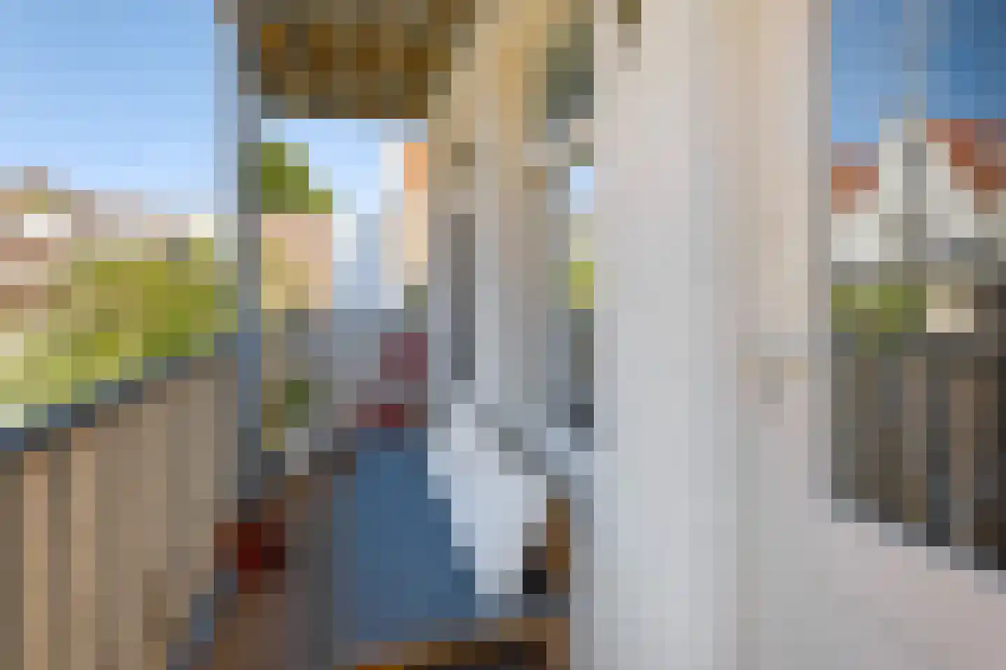 Nieuwe Leliestraat 170 B Amsterdam thumbnail 15