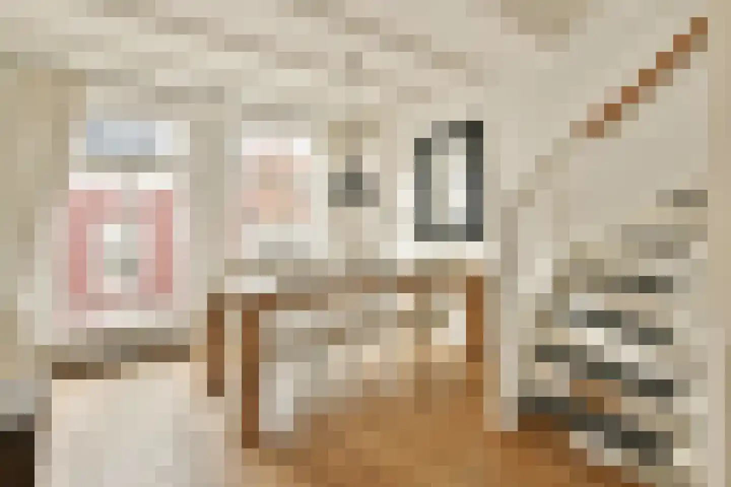 Nieuwe Leliestraat 172 B Amsterdam thumbnail 12