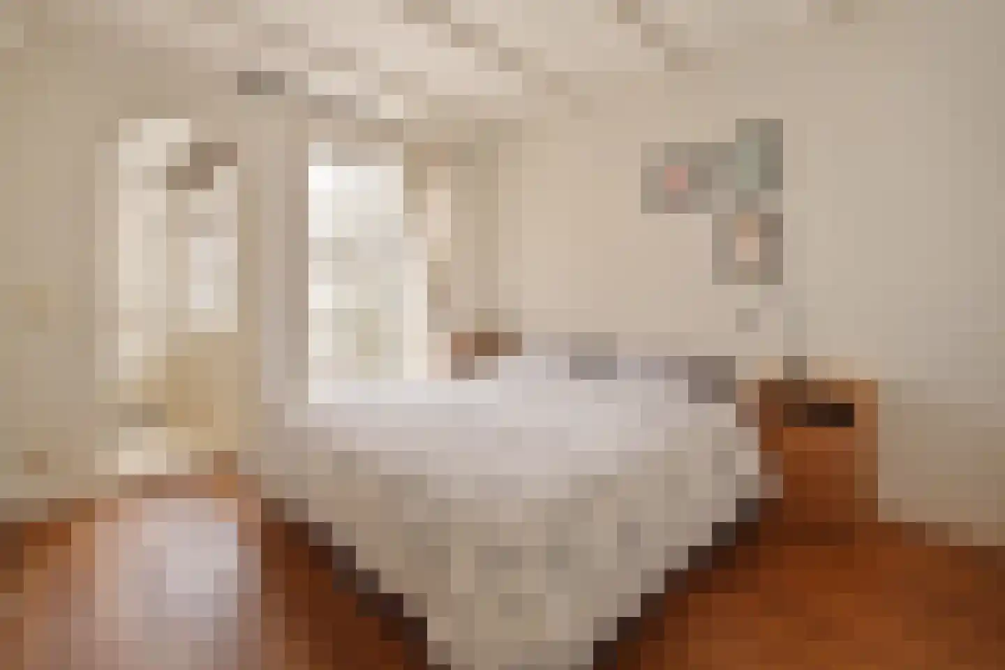 Nieuwe Leliestraat 172 B Amsterdam thumbnail 14