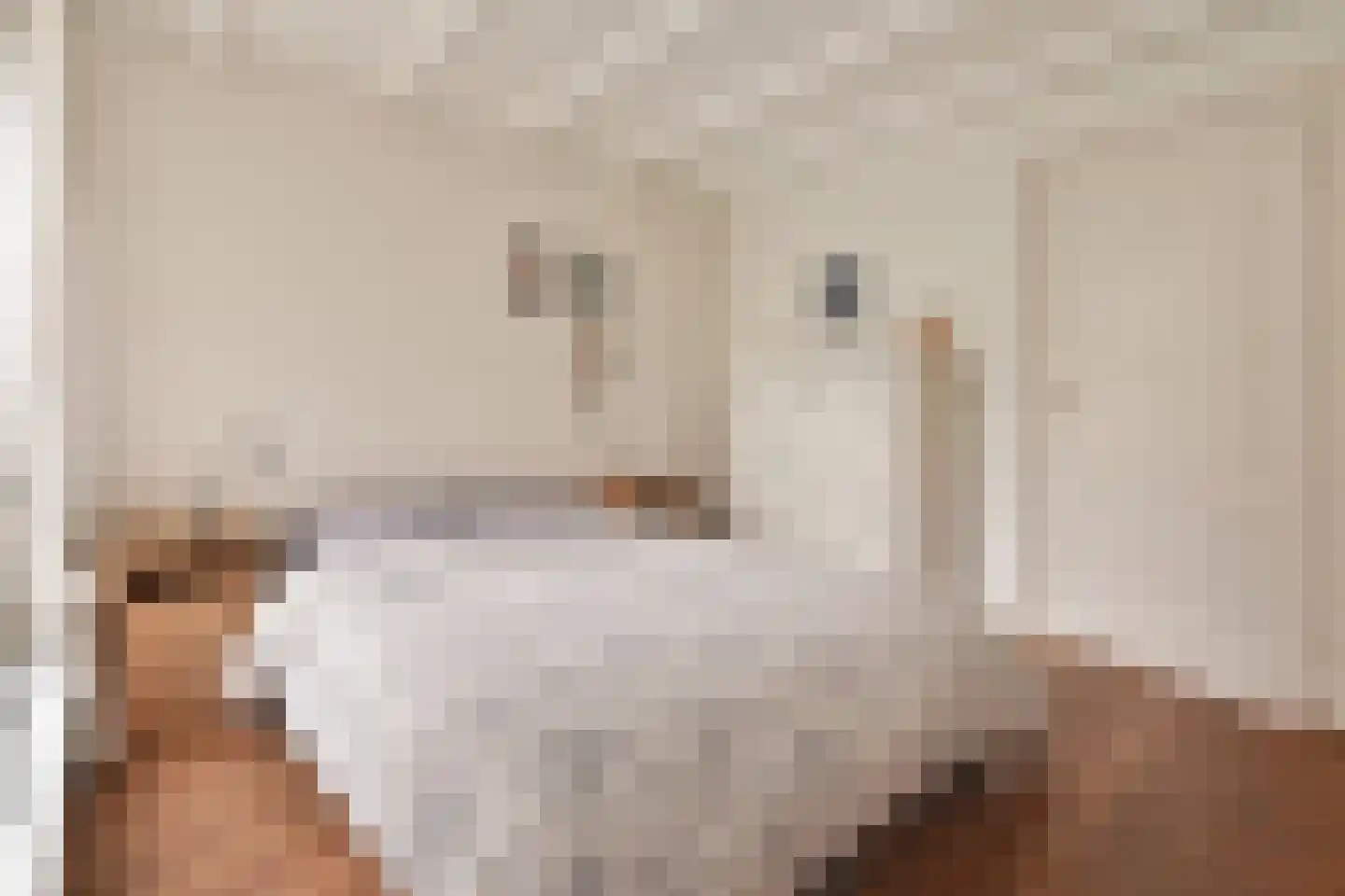 Nieuwe Leliestraat 172 B Amsterdam thumbnail 15