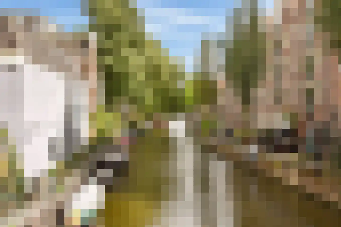 Nieuwe Leliestraat 172 B Amsterdam thumbnail 26