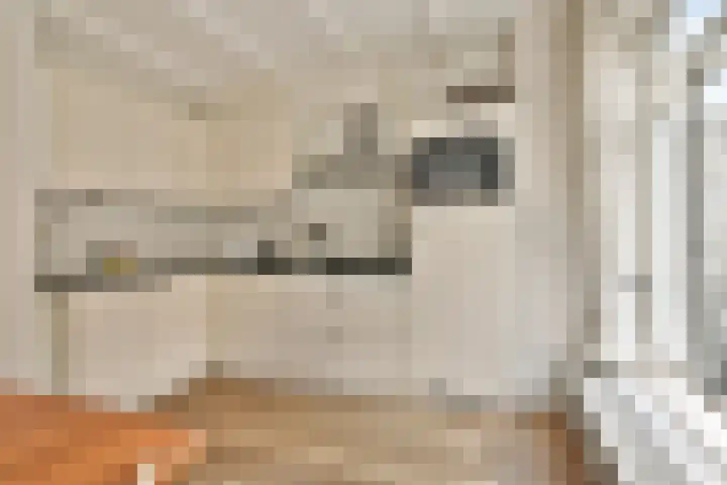 Nieuwe Leliestraat 172 B Amsterdam thumbnail 9