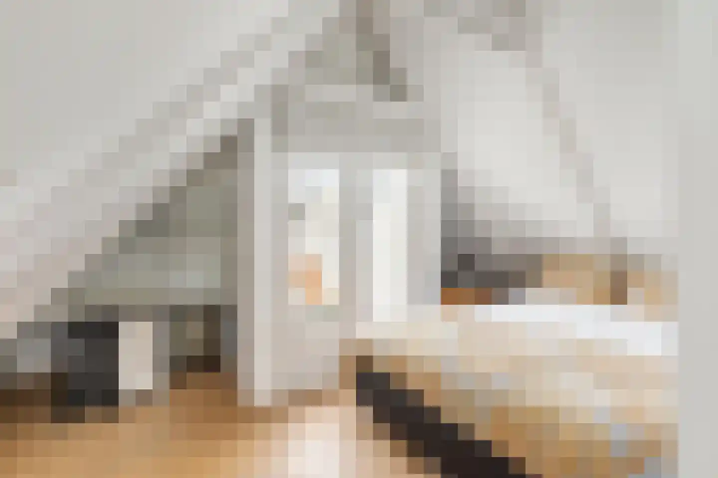 Nieuwe Leliestraat 191 Amsterdam thumbnail 12