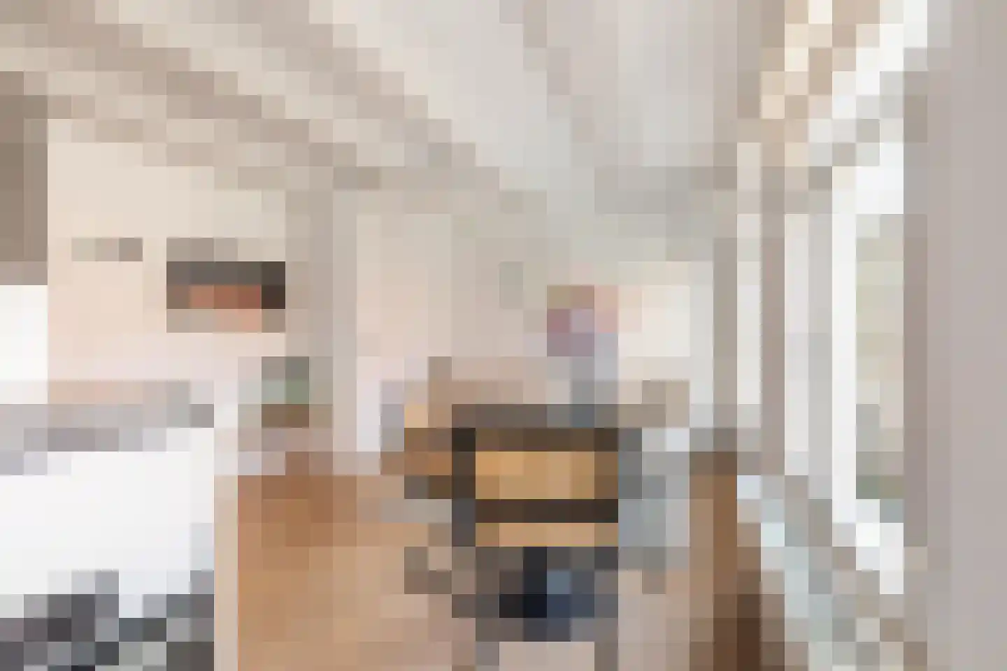 Nieuwe Leliestraat 191 Amsterdam thumbnail 8