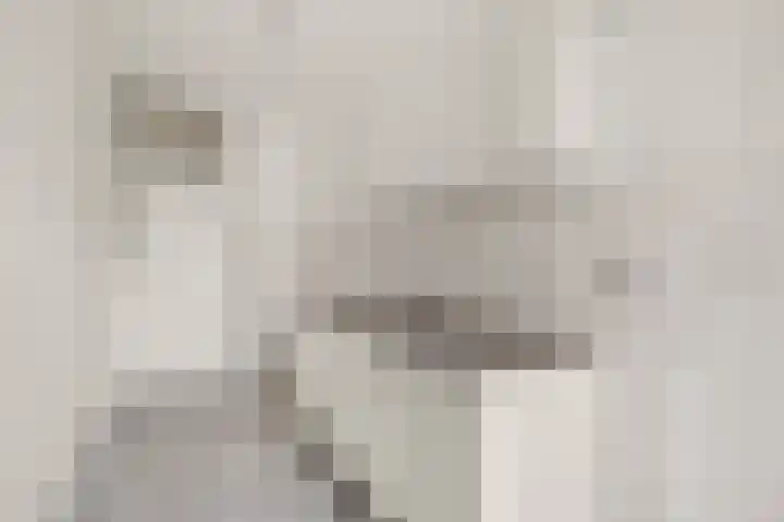 Nieuwe Leliestraat 48 C Amsterdam thumbnail 7