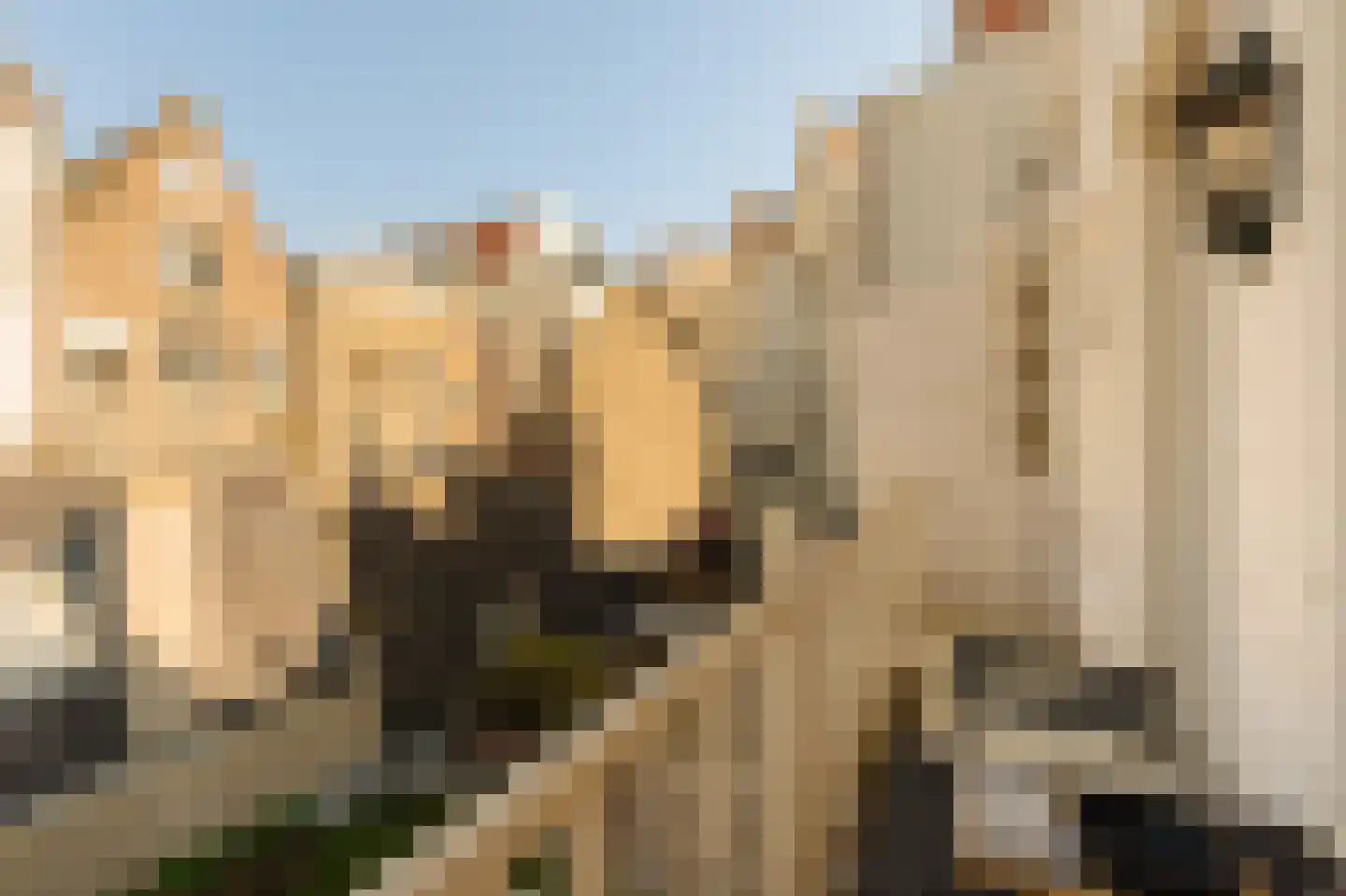 Nieuwe Leliestraat 8 1 Amsterdam thumbnail 14