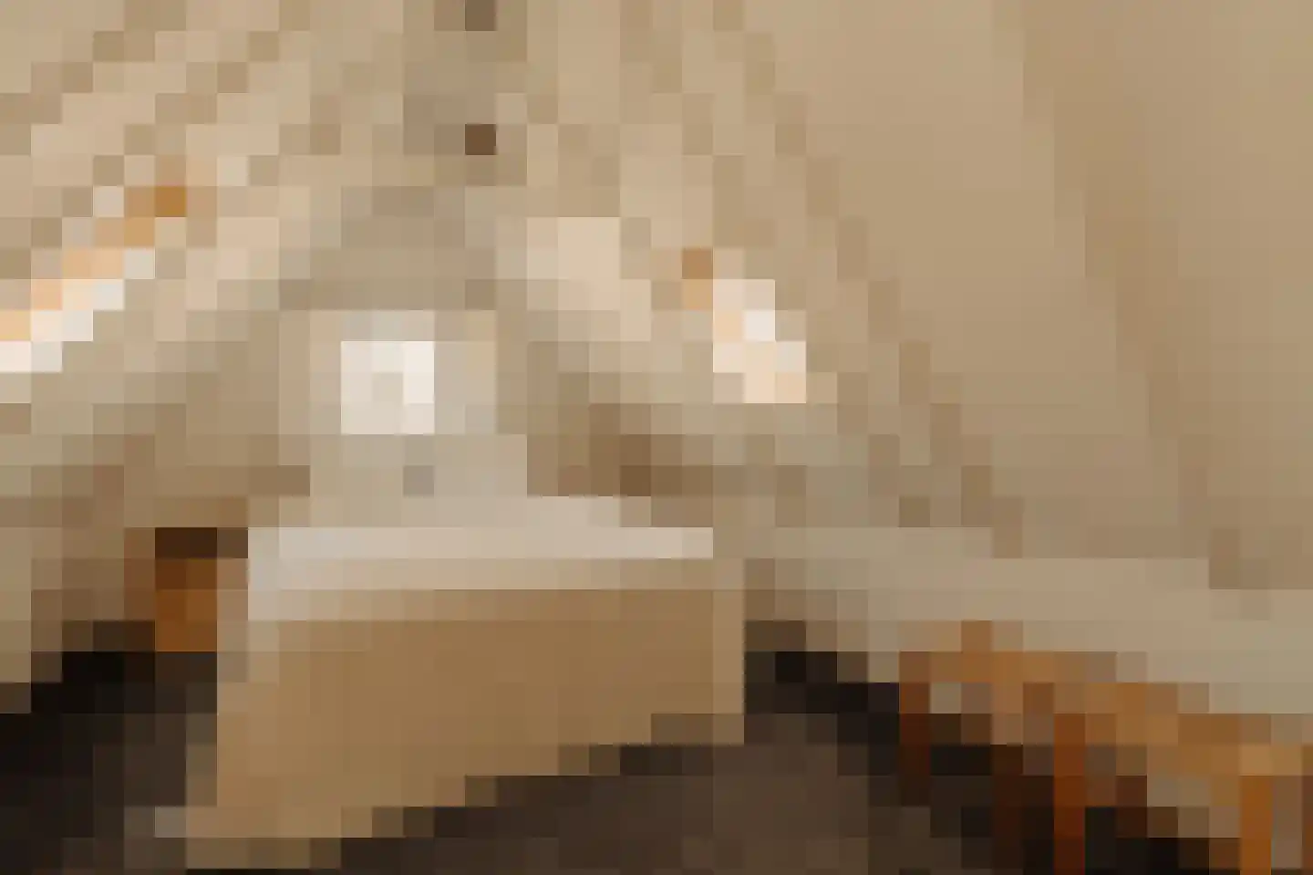 Nieuwe Leliestraat 8 1 Amsterdam thumbnail 19