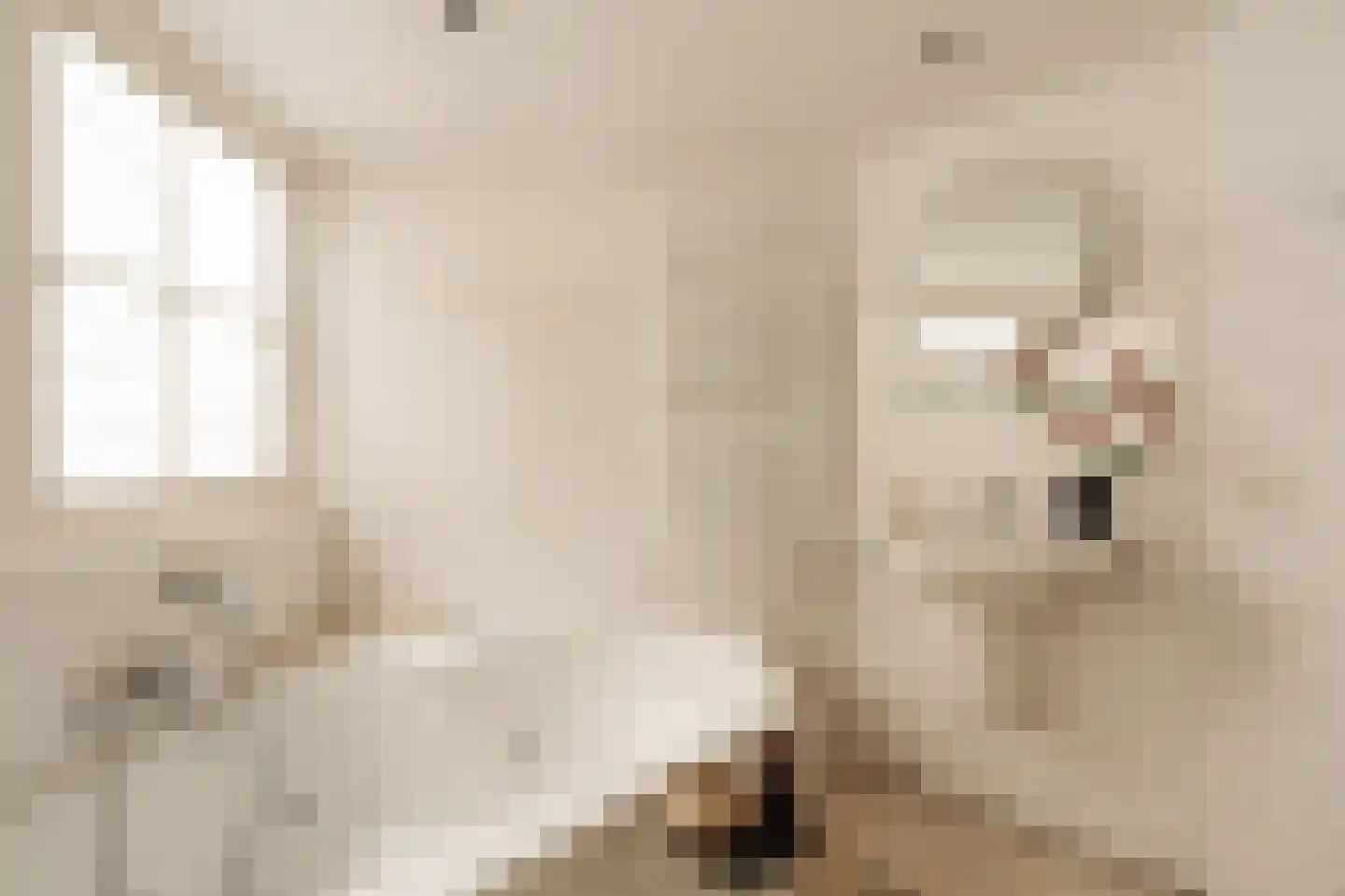 Nieuwe Leliestraat 8 1 Amsterdam thumbnail 25