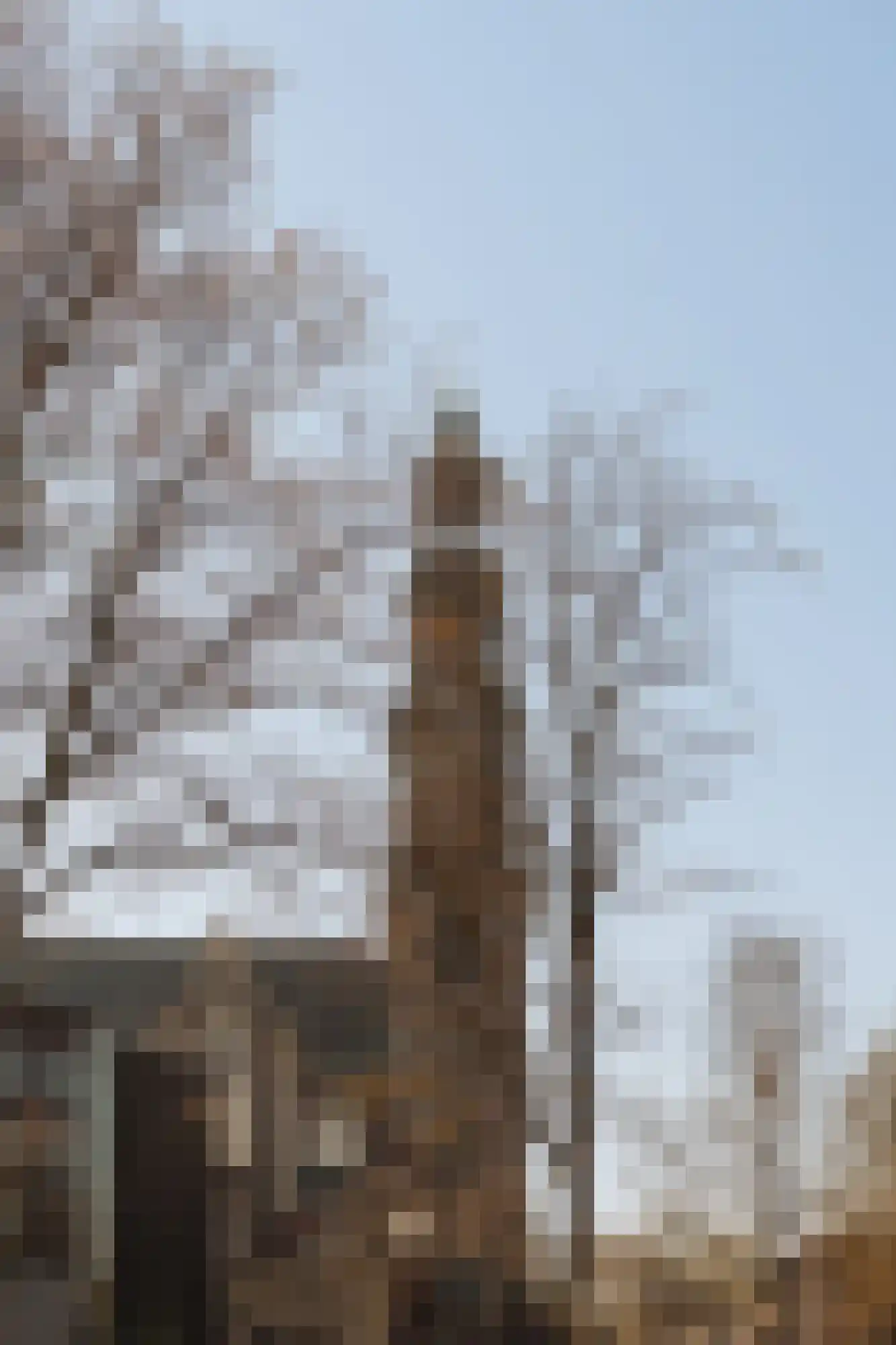 Nieuwe Leliestraat 8 1 Amsterdam thumbnail 28